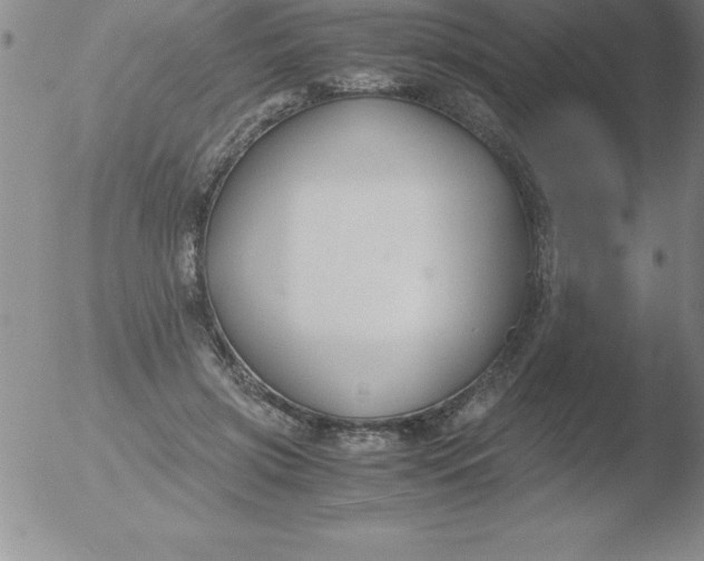 X0000051910549200507082032