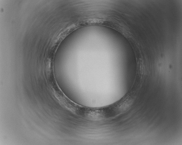 X0000051910550200507082032