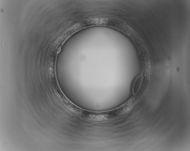 X0000051910553200507082032