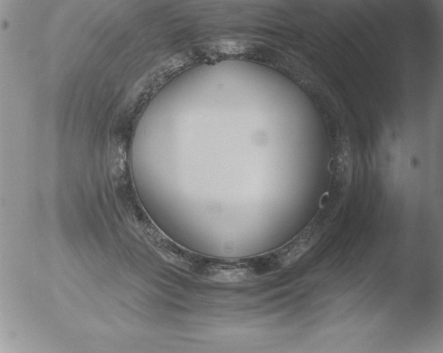 X0000051910555200507082032