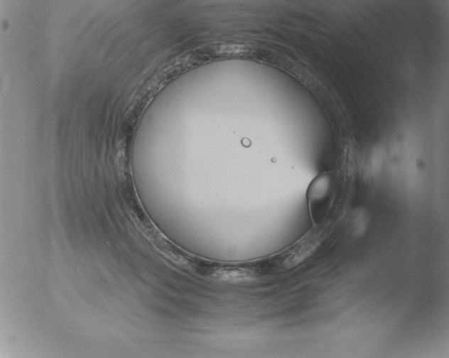 X0000051910557200507082032