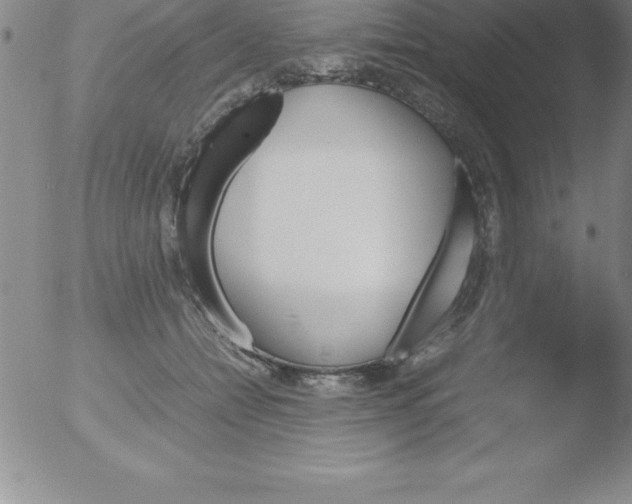 X0000051910558200507082032