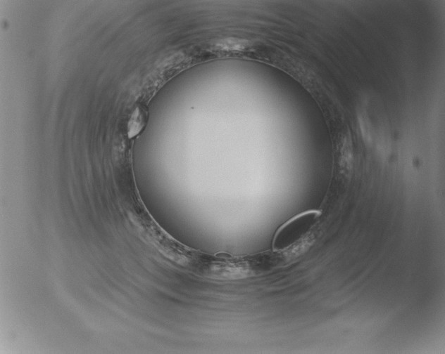 X0000051910559200507082032