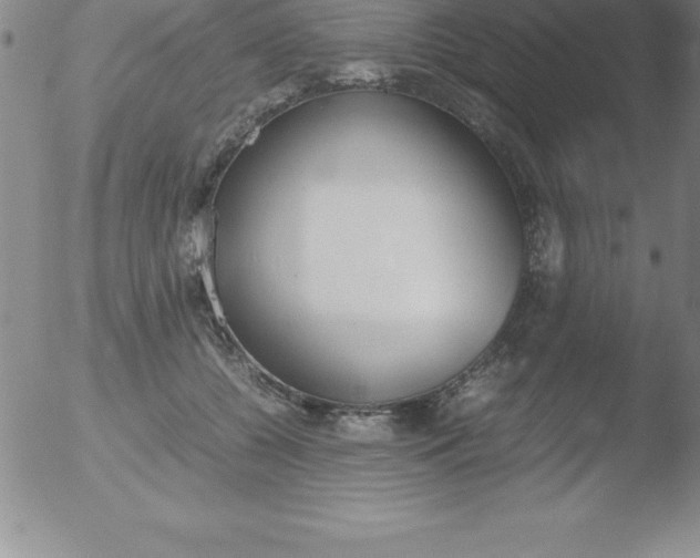 X0000051910560200507082032