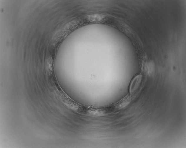 X0000051910561200507082032