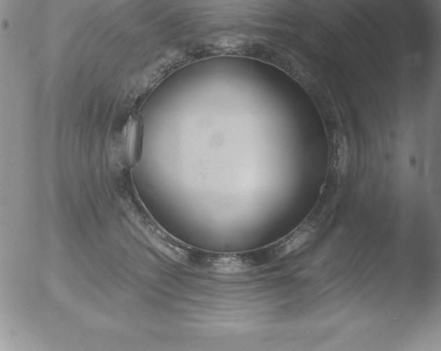 X0000051910562200507082032