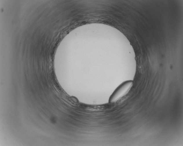 X0000051910563200507082032