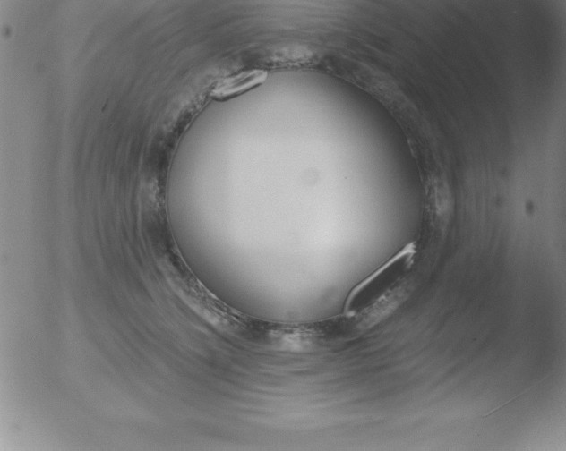 X0000051910564200507082032