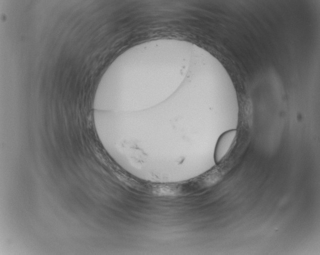 X0000051910565200507082032