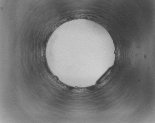 X0000051910567200507082032