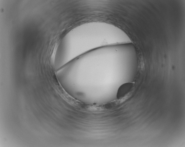 X0000051910568200507082032