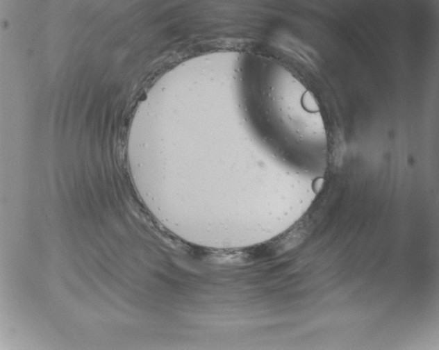 X0000051910569200507082032