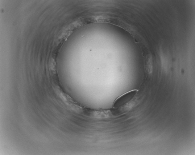 X0000051910571200507082032