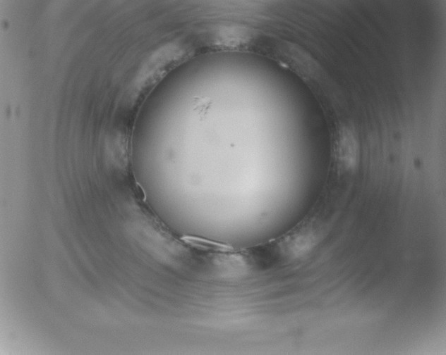 X0000051910572200507082032