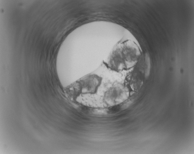 X0000051910573200507082032