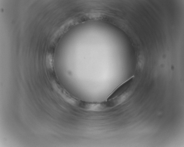 X0000051910575200507082032