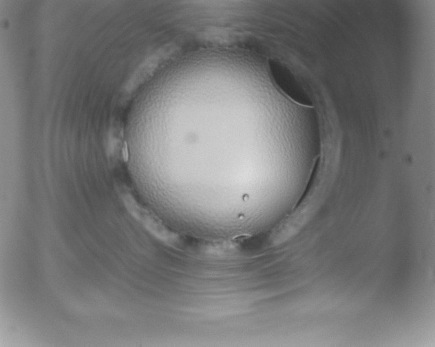 X0000051910576200507082032