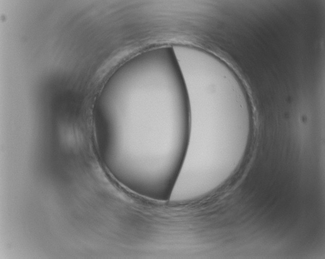 X0000051910577200507082032