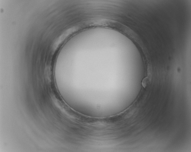 X0000051910578200507082032