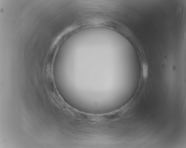 X0000051910579200507082032