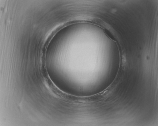 X0000051910580200507082032