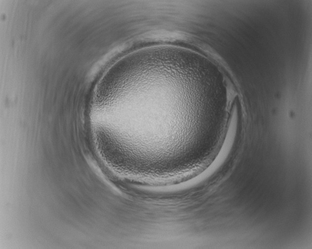 X0000051910581200507082032