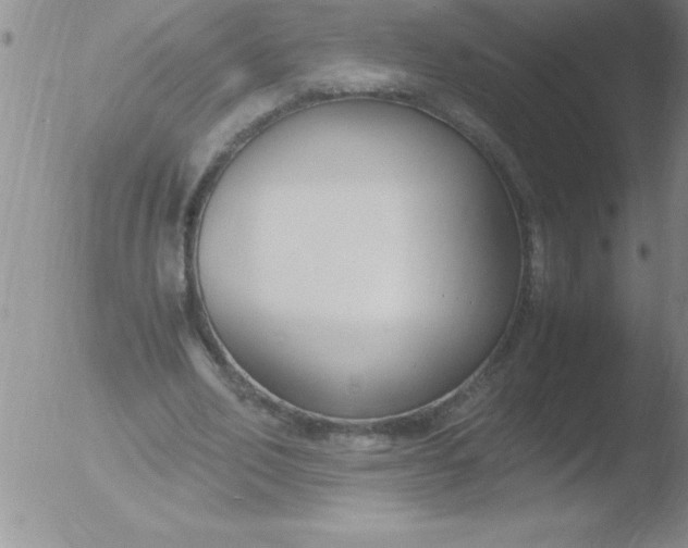 X0000051910582200507082032