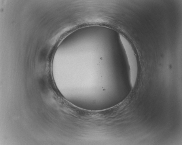 X0000051910583200507082032