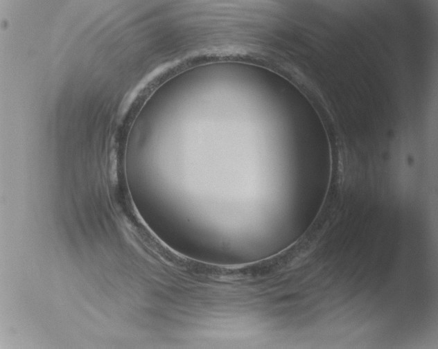 X0000051910584200507082032