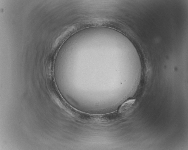 X0000051910585200507082032