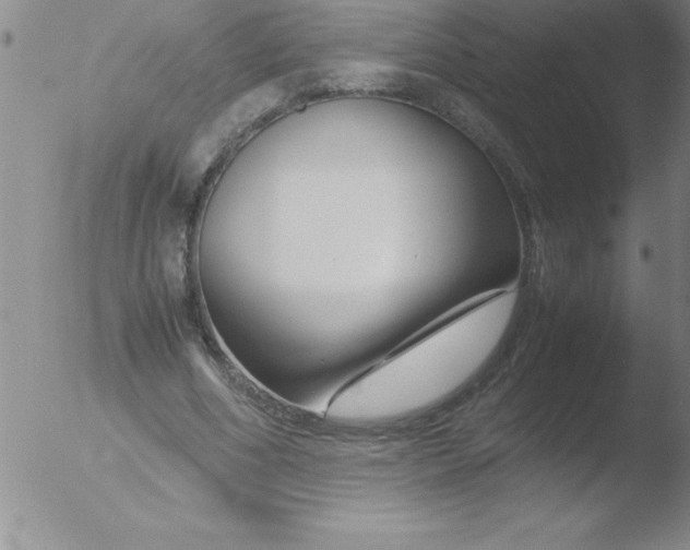 X0000051910586200507082032