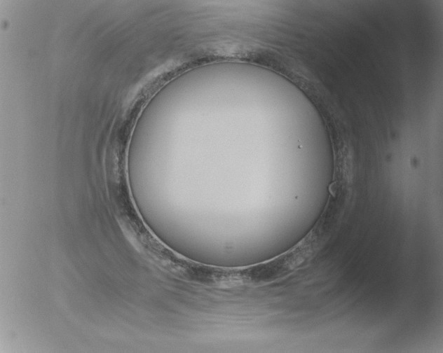 X0000051910587200507082032