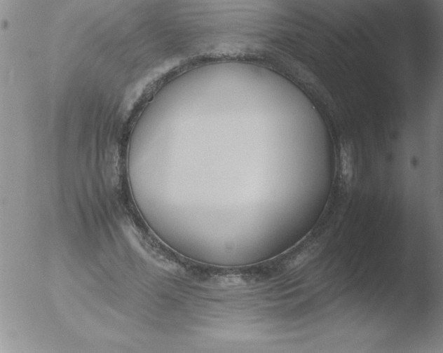 X0000051910588200507082031