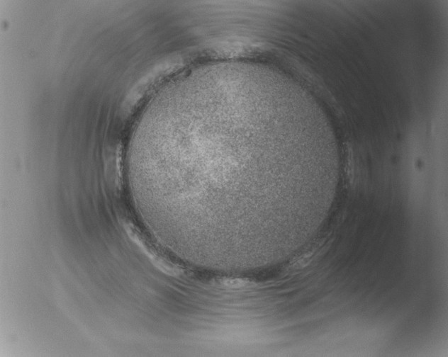 X0000051910590200507082031