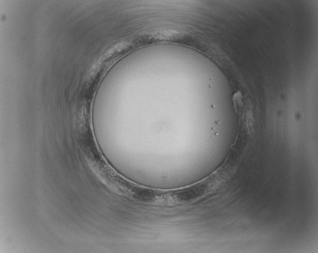 X0000051910591200507082031