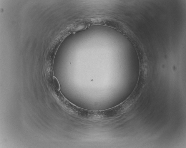 X0000051910593200507082031