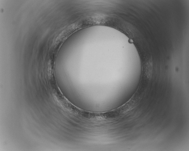 X0000051910594200507082031