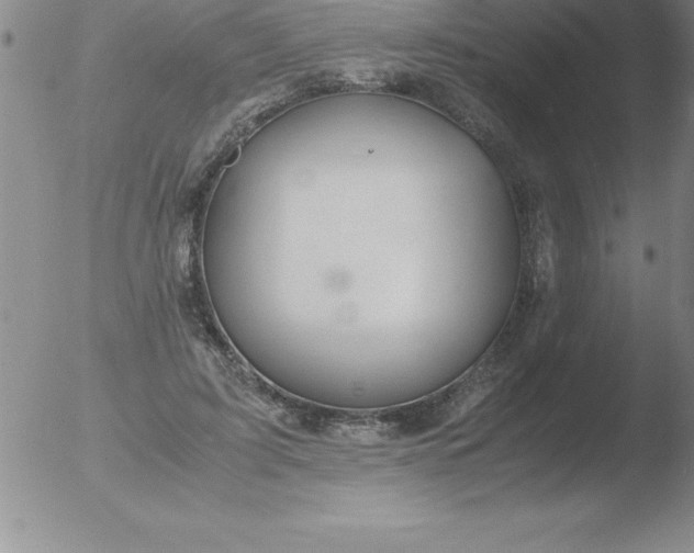 X0000051910595200507082031