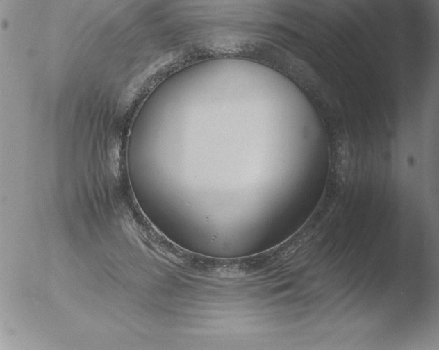 X0000051910596200507082031