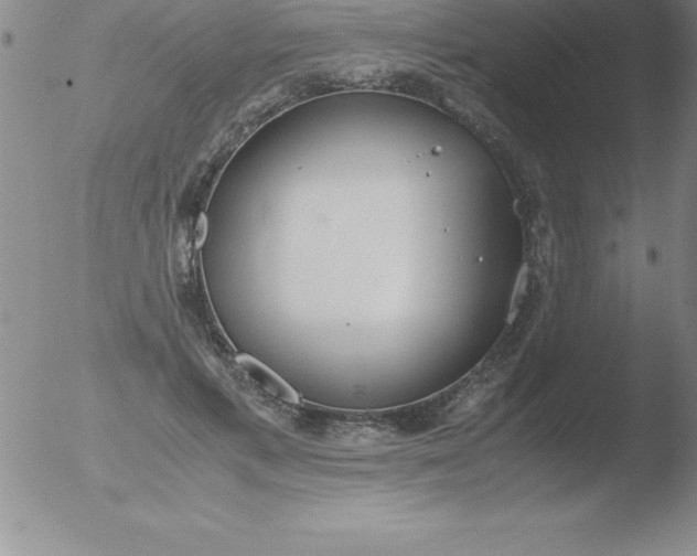 X0000051910597200507082031