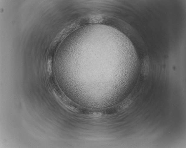 X0000051910598200507082031