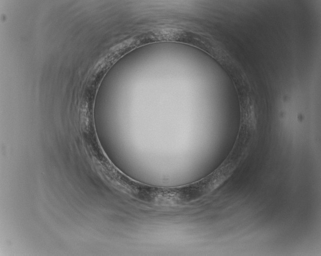 X0000051910599200507082031