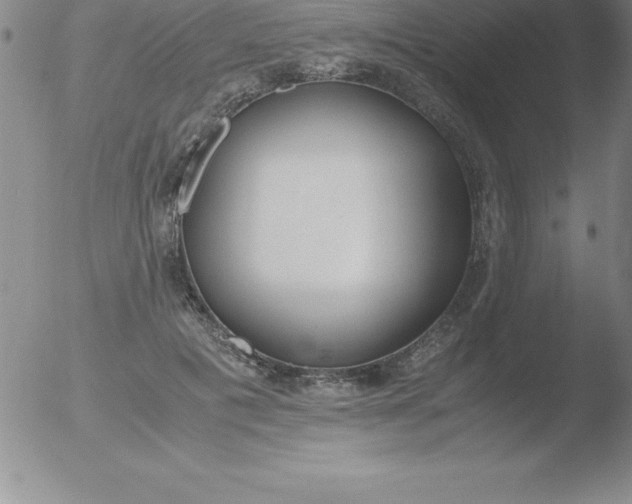 X0000051910601200507082031