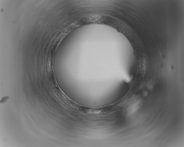 X0000051910602200507082031