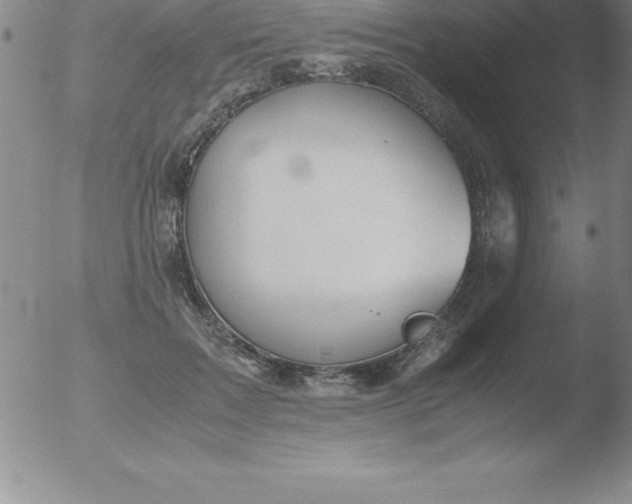 X0000051910603200507082031