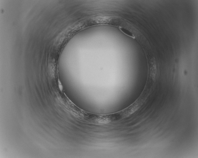 X0000051910604200507082031