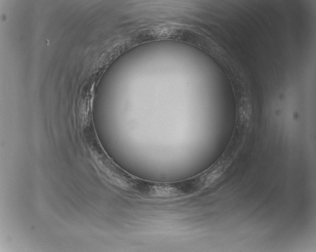 X0000051910605200507082031