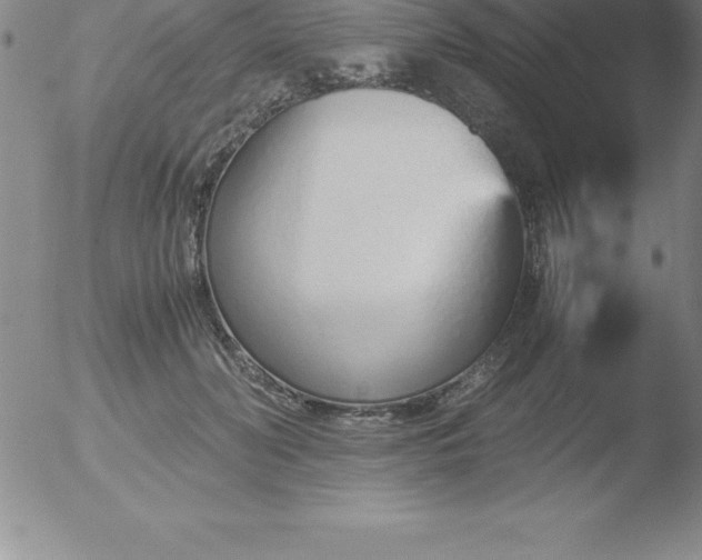 X0000051910606200507082031