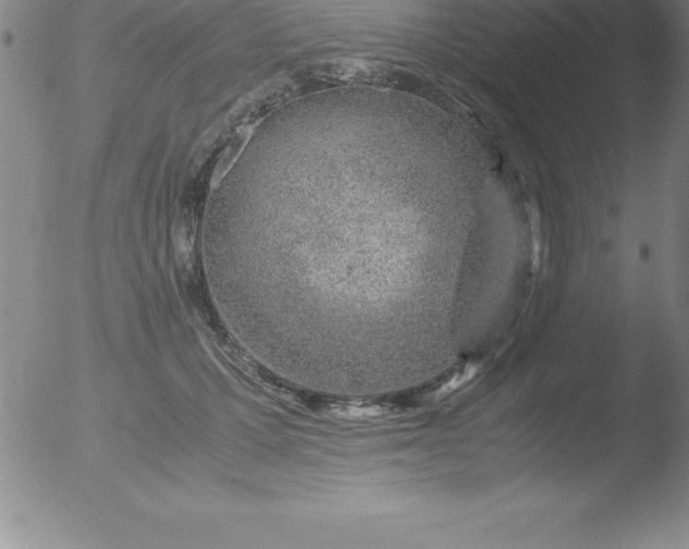 X0000051910607200507082031