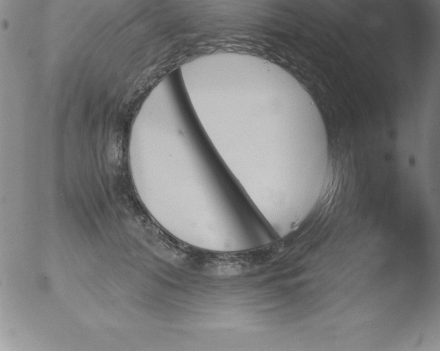 X0000051910608200507082031